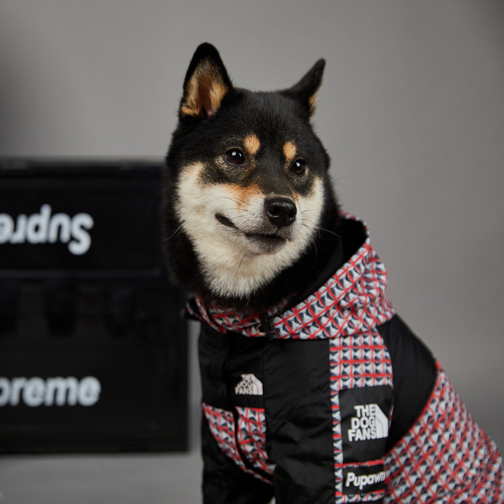 The Dog Fans Regenjacke kariert in 3 verschiedenen Farben